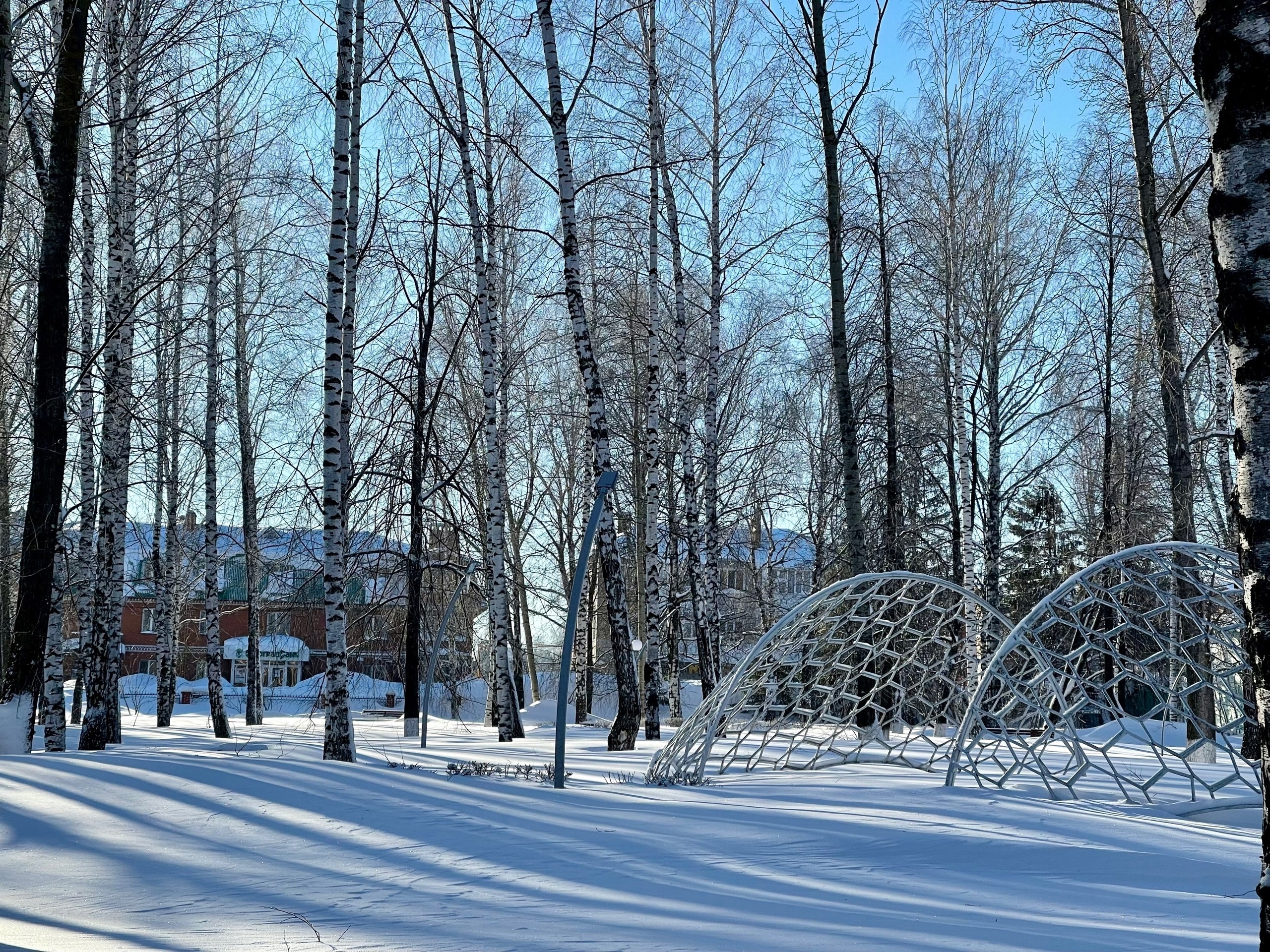 фото: Алена Пантюхина