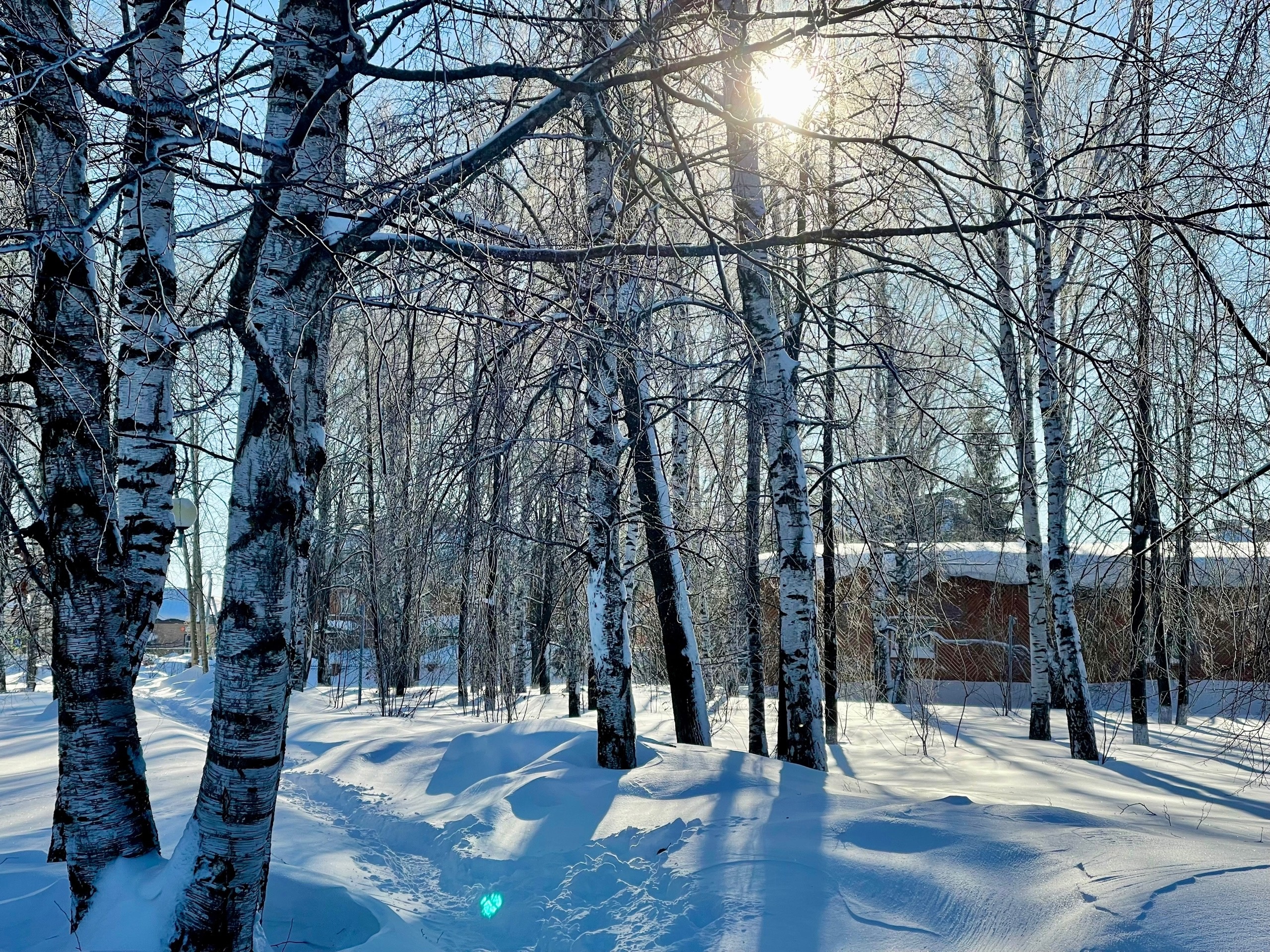 фото: Алена Пантюхина