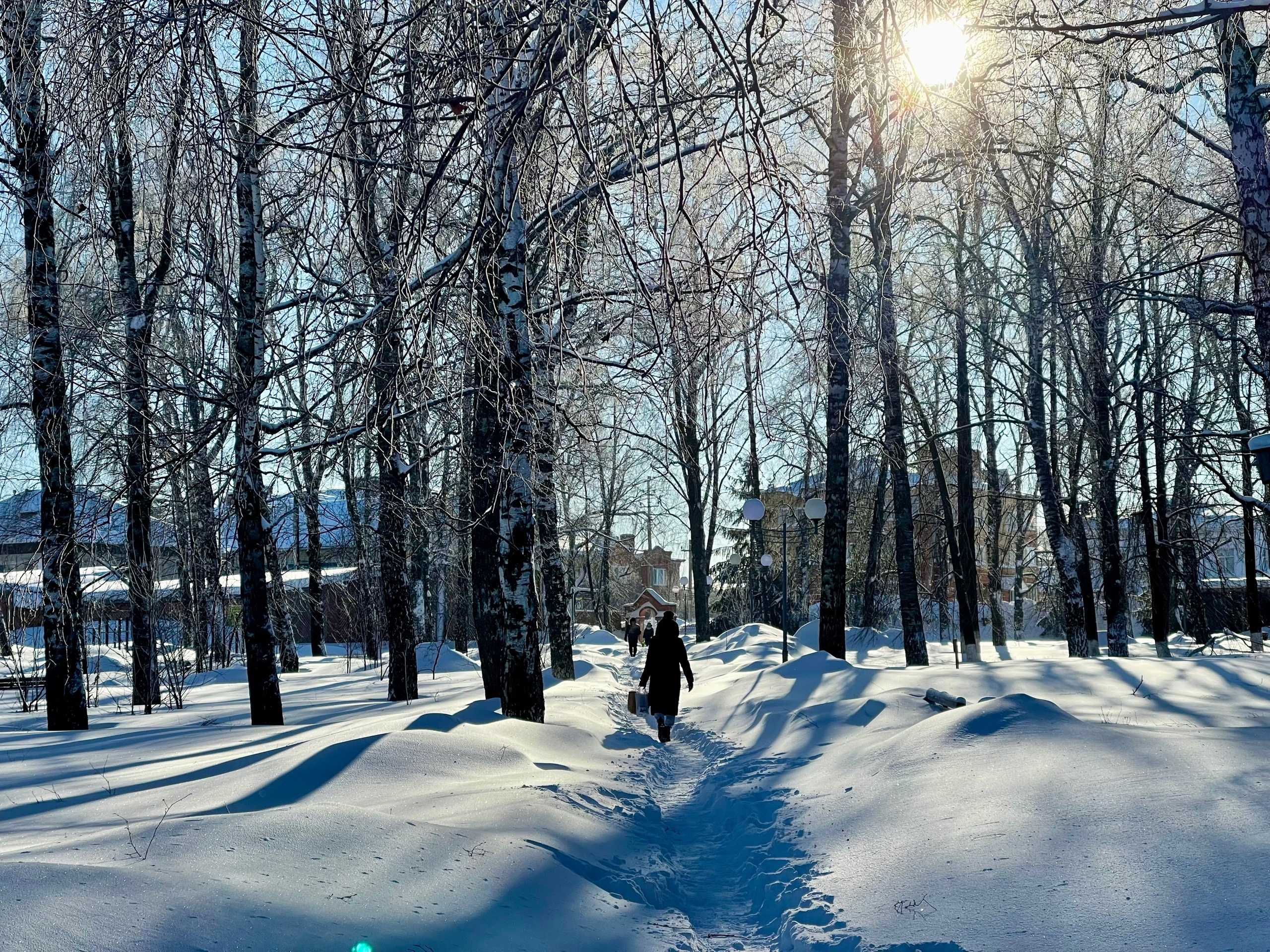 фото: Алена Пантюхина