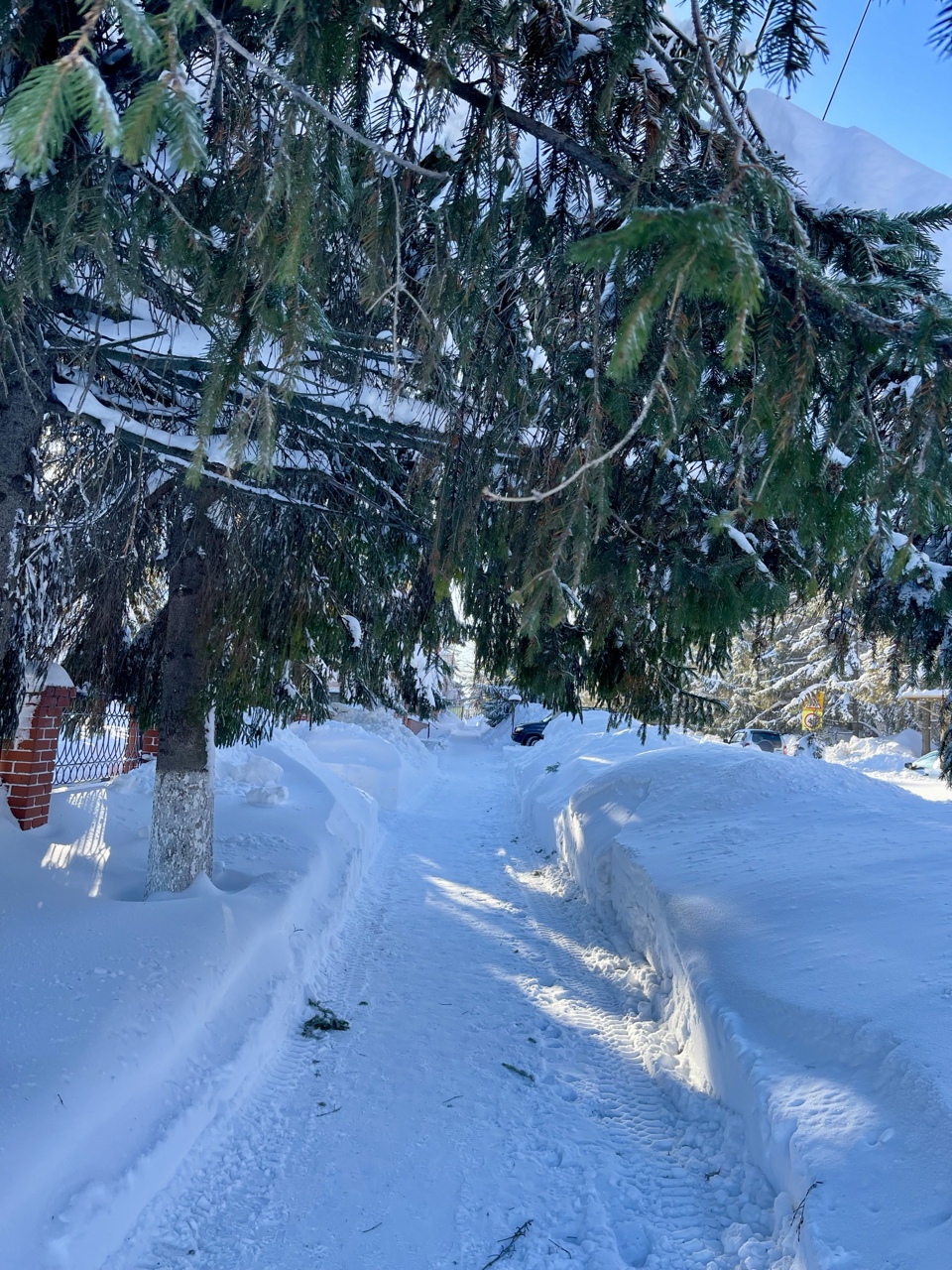 фото: Алена Пантюхина