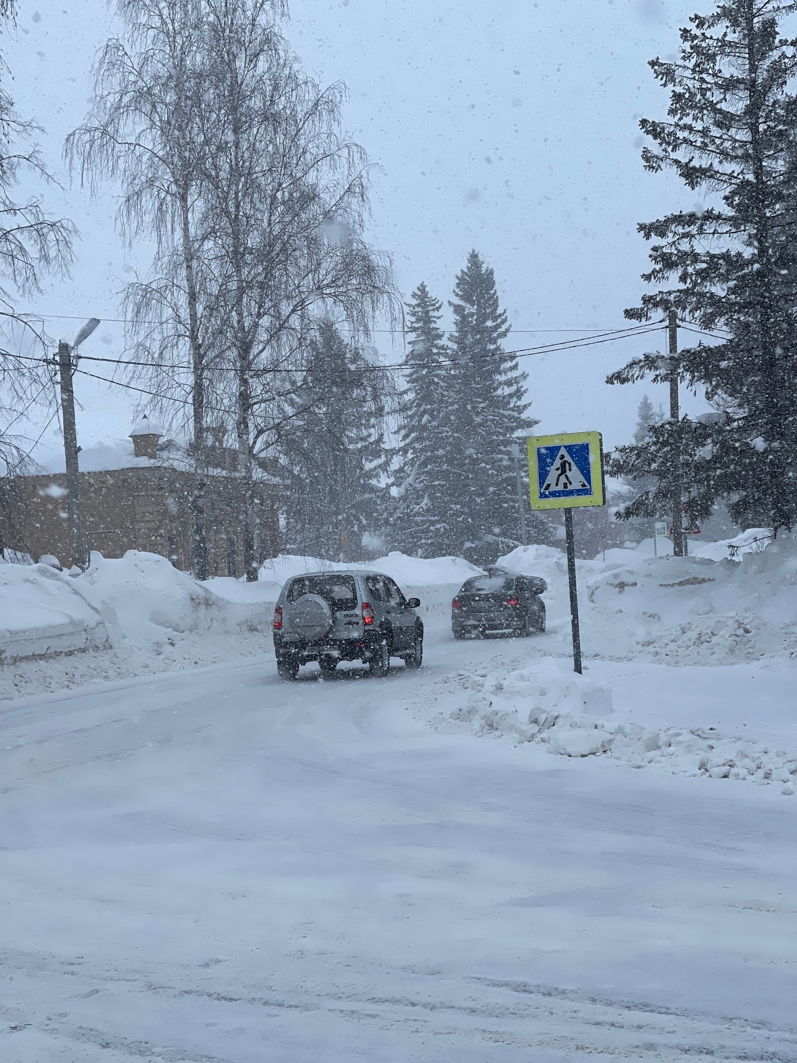 фото: Алена Пантюхина