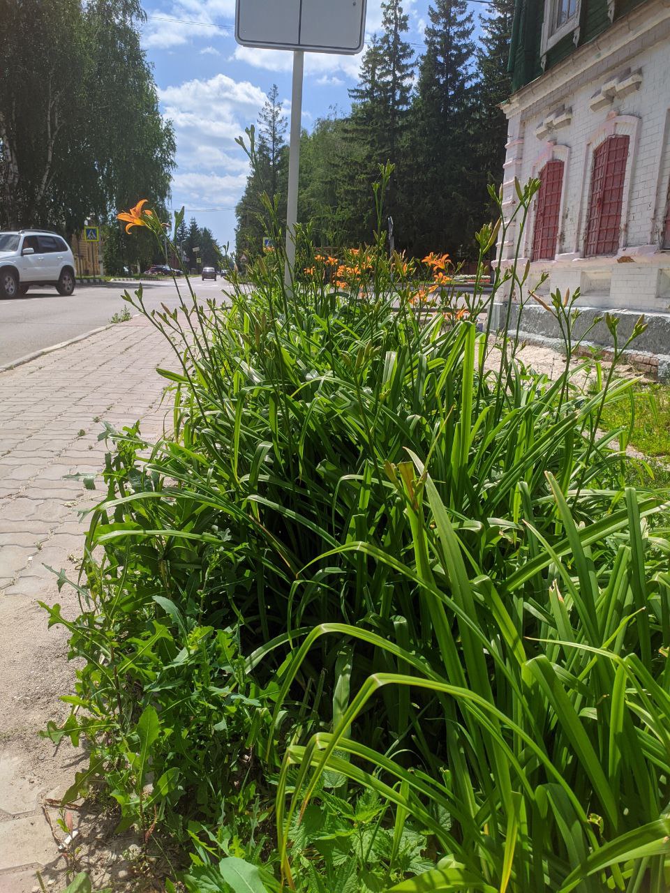 О погоде в Тетюшах 3 июля: будет очень жарко и до +35˚ | 02.07.2024 |  Тетюши - БезФормата