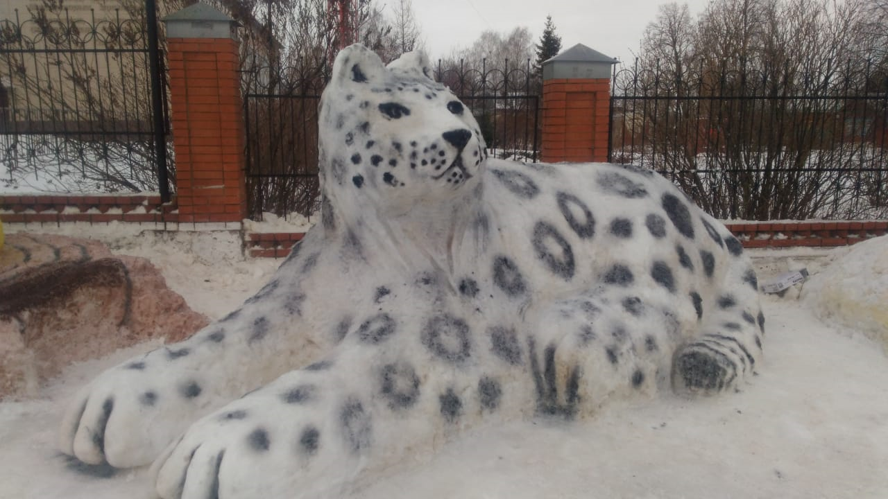 Кадетский снежный барс