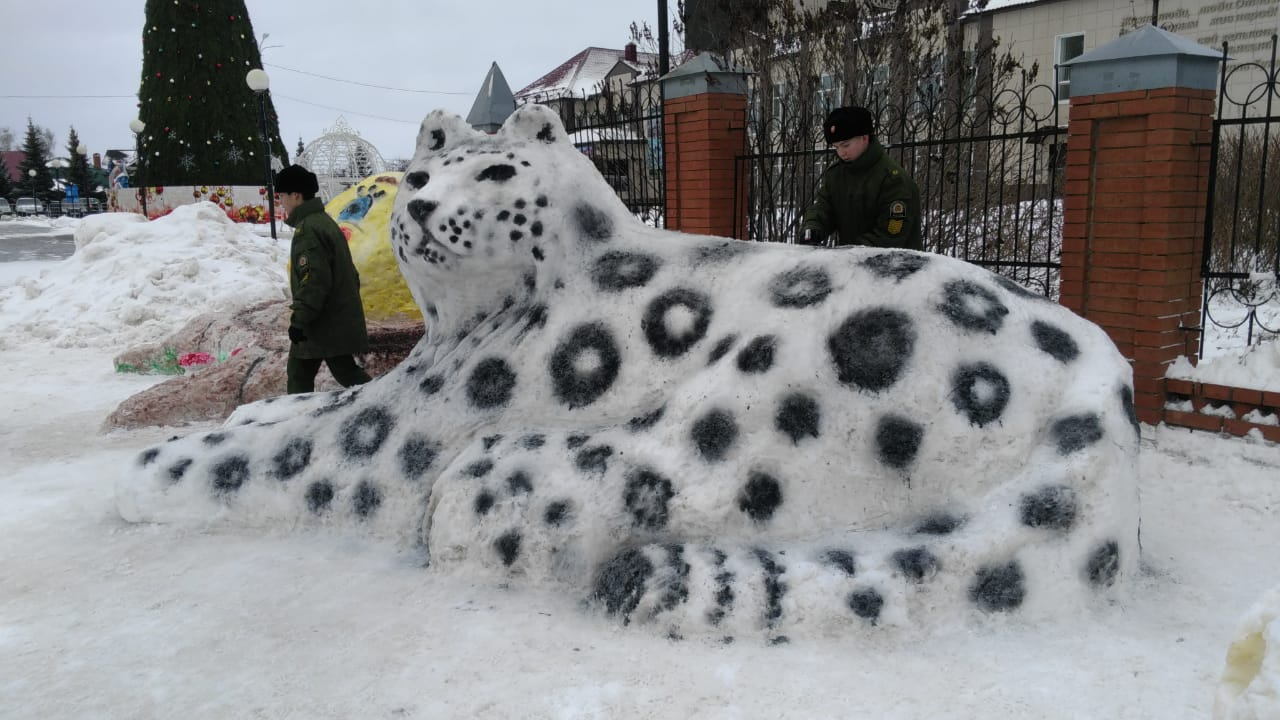 Кадетский снежный барс