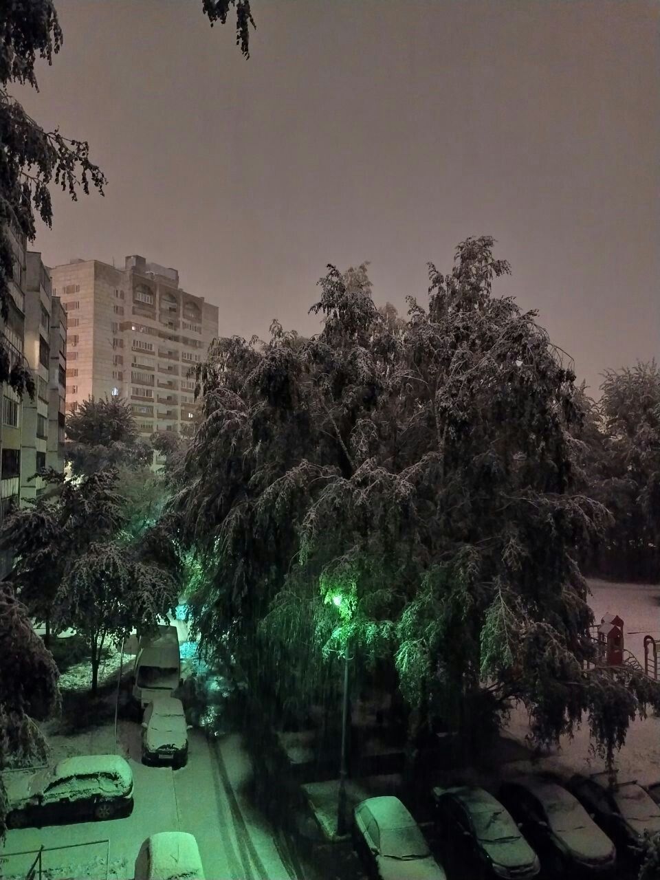 Все белым-бело: в Татарстане накануне выпал первый снег