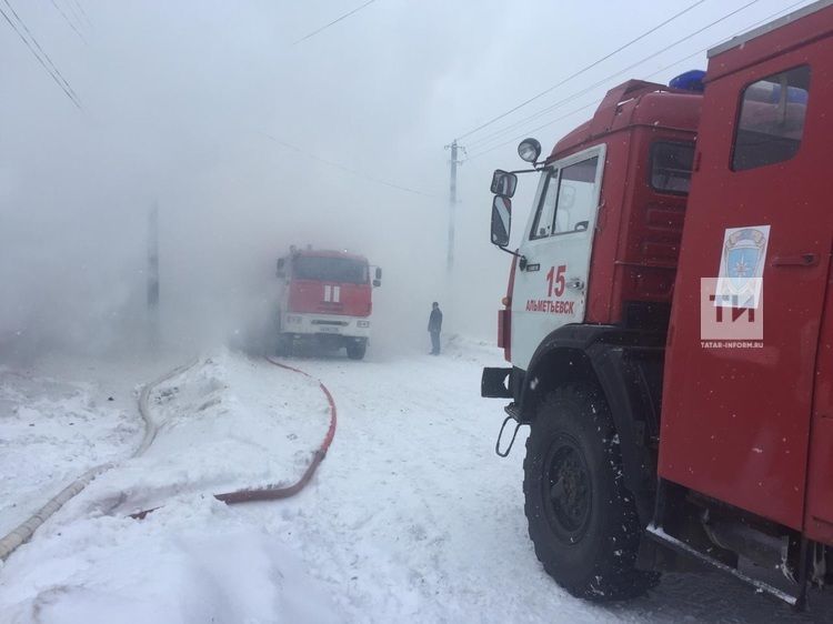 В Татарстане мать из пожара спасла двоих детей