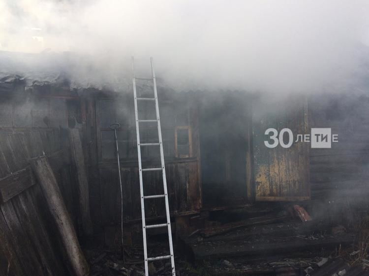 Двое мужчин погибли на пожаре в Тетюшском районе