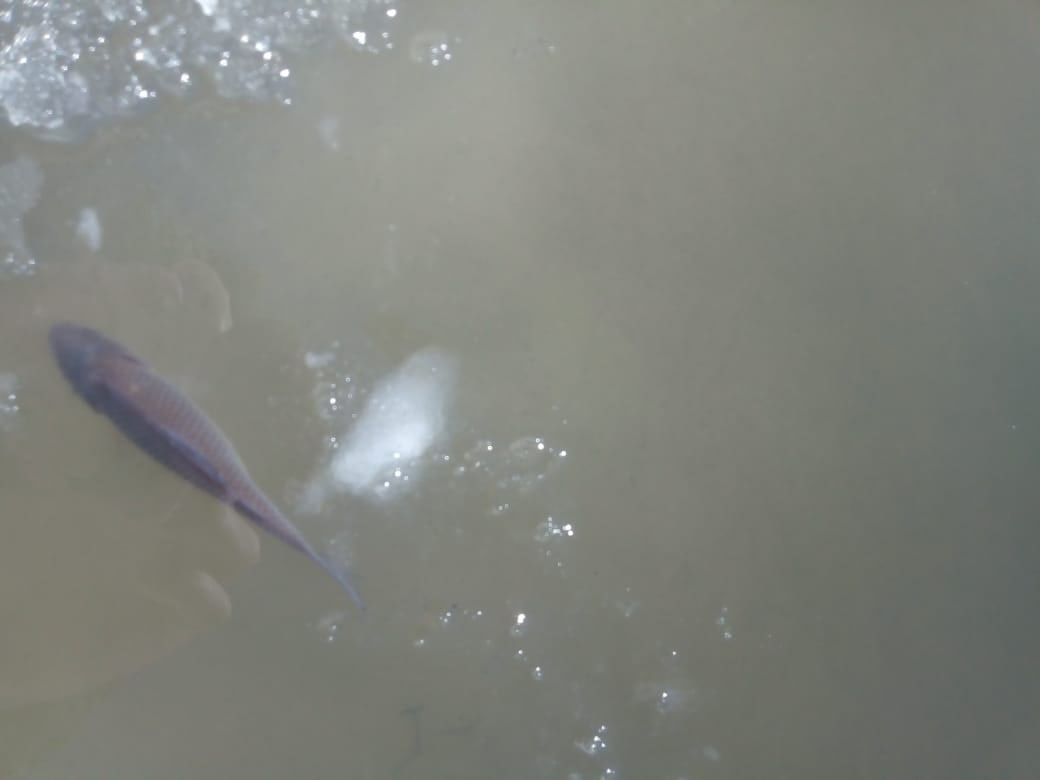 Большетарханцы пробурили лунки на местном озере для доступа воздуха рыбам