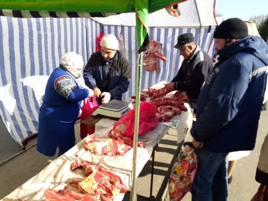 В Тетюшах местные сельхозтоваропроизводители представили для горожан свою экологически чистую продукцию