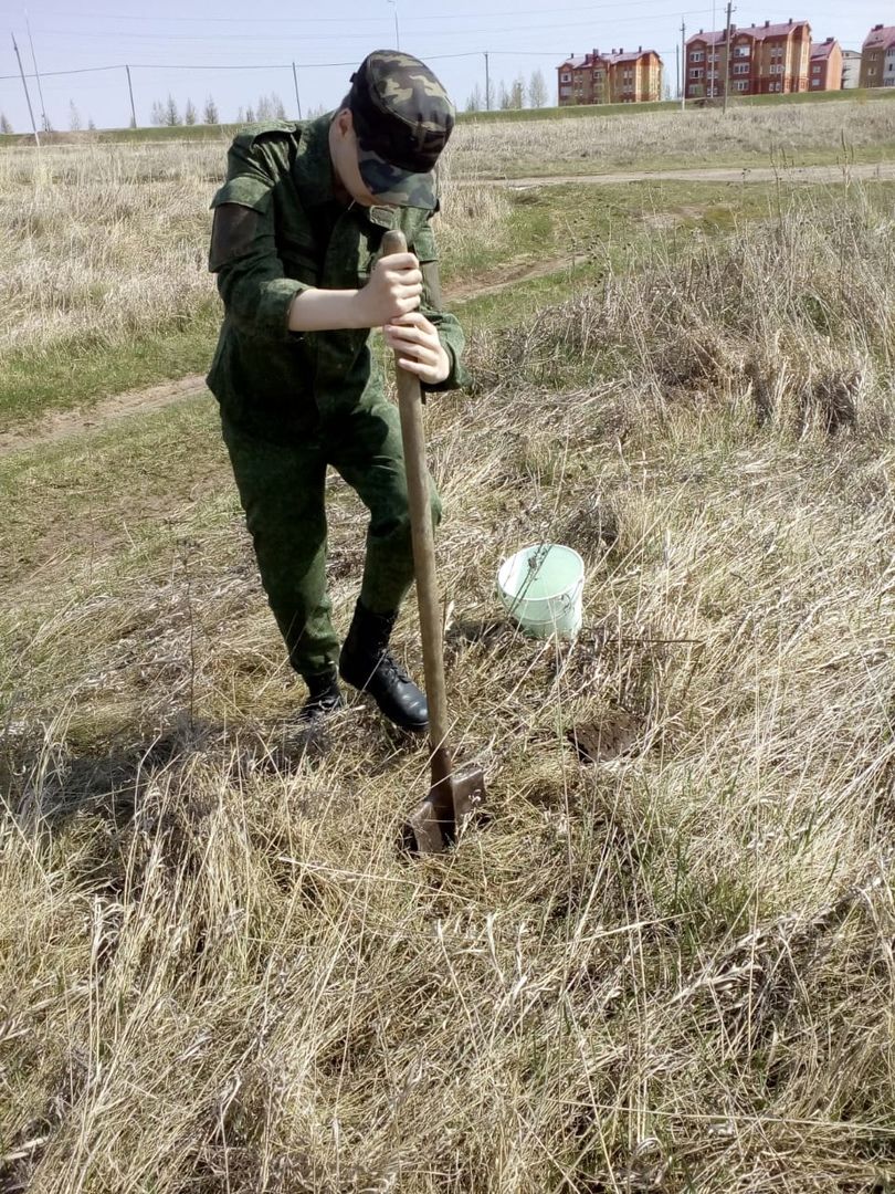 Тетюшские кадеты посадили 50 саженцев деревьев