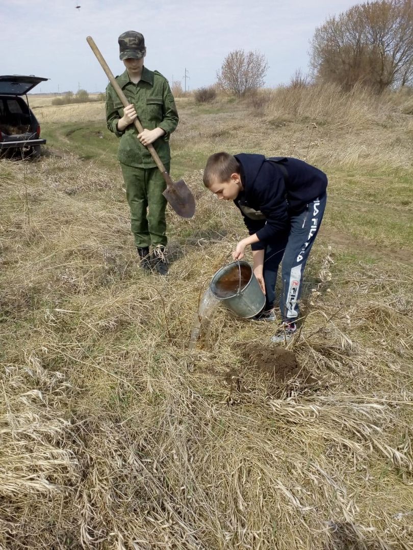 Тетюшские кадеты посадили 50 саженцев деревьев