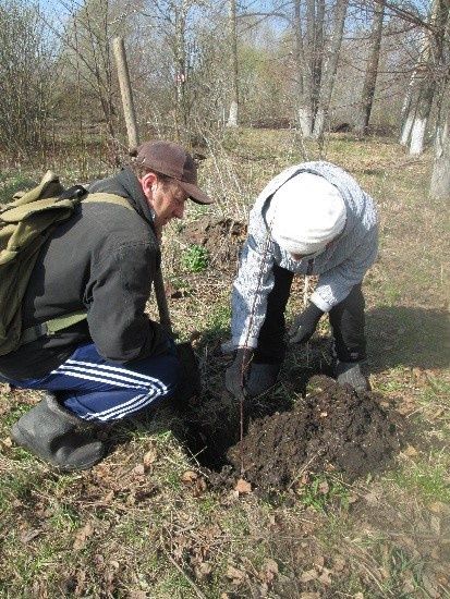 Жители улицы Вахитова города Тетюши посадили саженцы деревьев