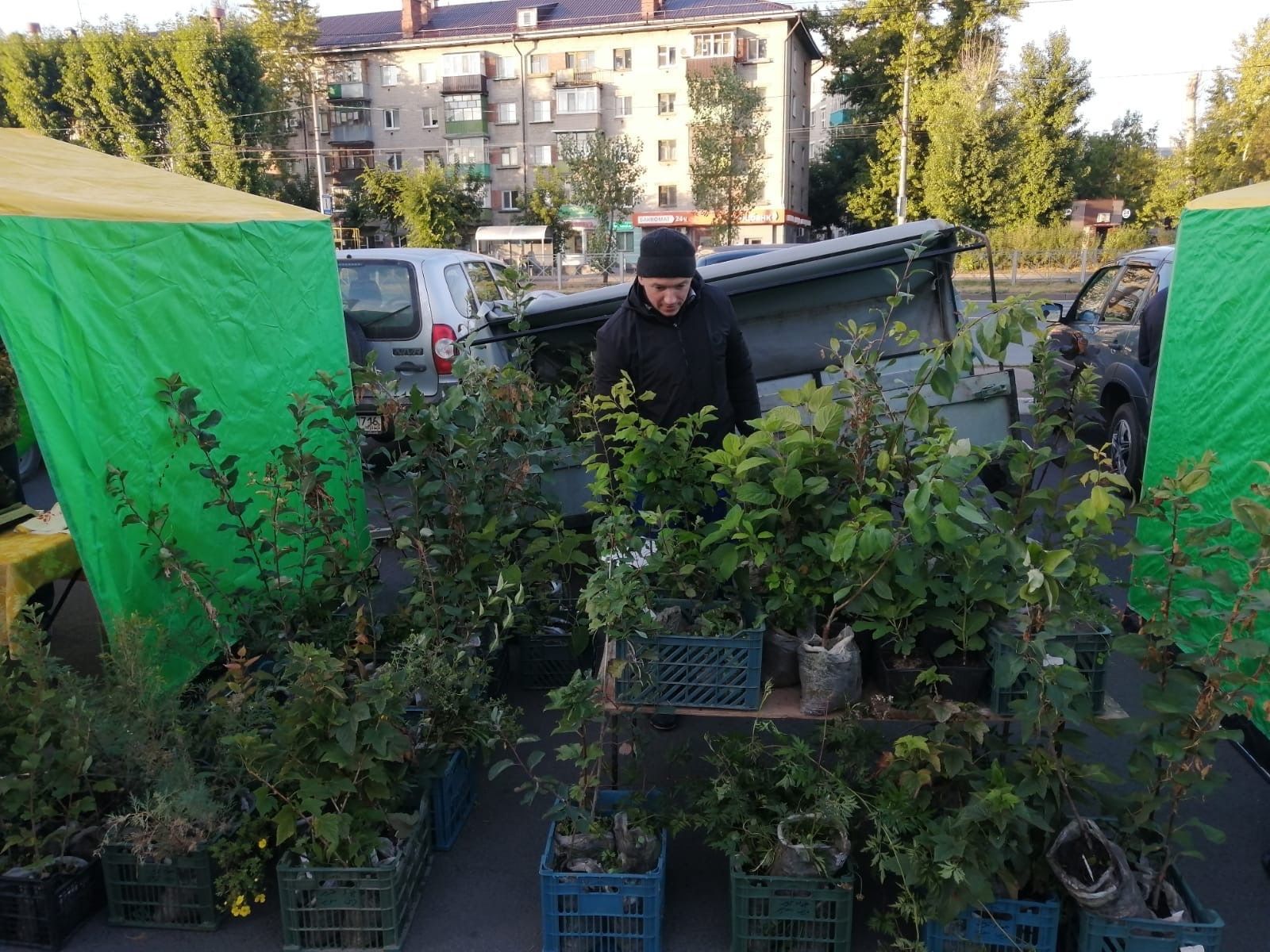 Сельхозтоваропроизводители Тетюшского района приняли участие в ярмарке в Казани