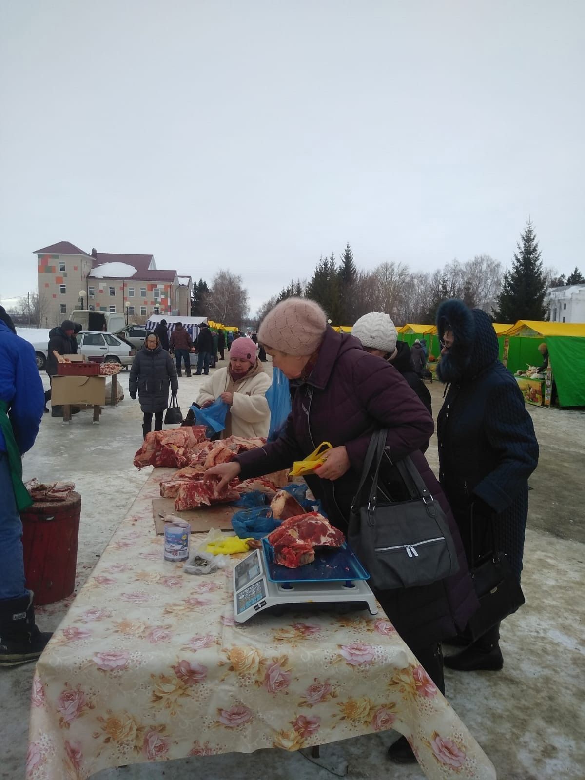 Тетюшане побывали на весенней сельхозярмарке