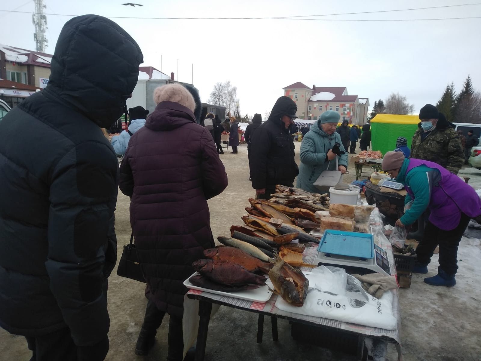 Тетюшане побывали на весенней сельхозярмарке