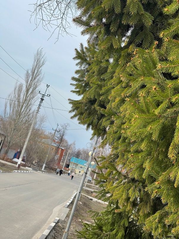 Погода в Тетюшах