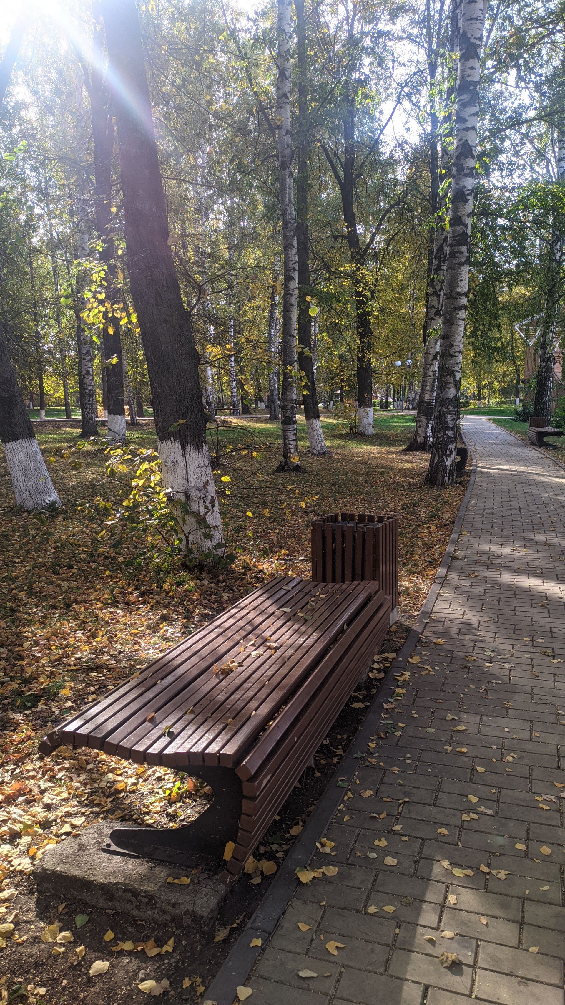 Теплая погода порадует жителей Татарстана в первые дни октября