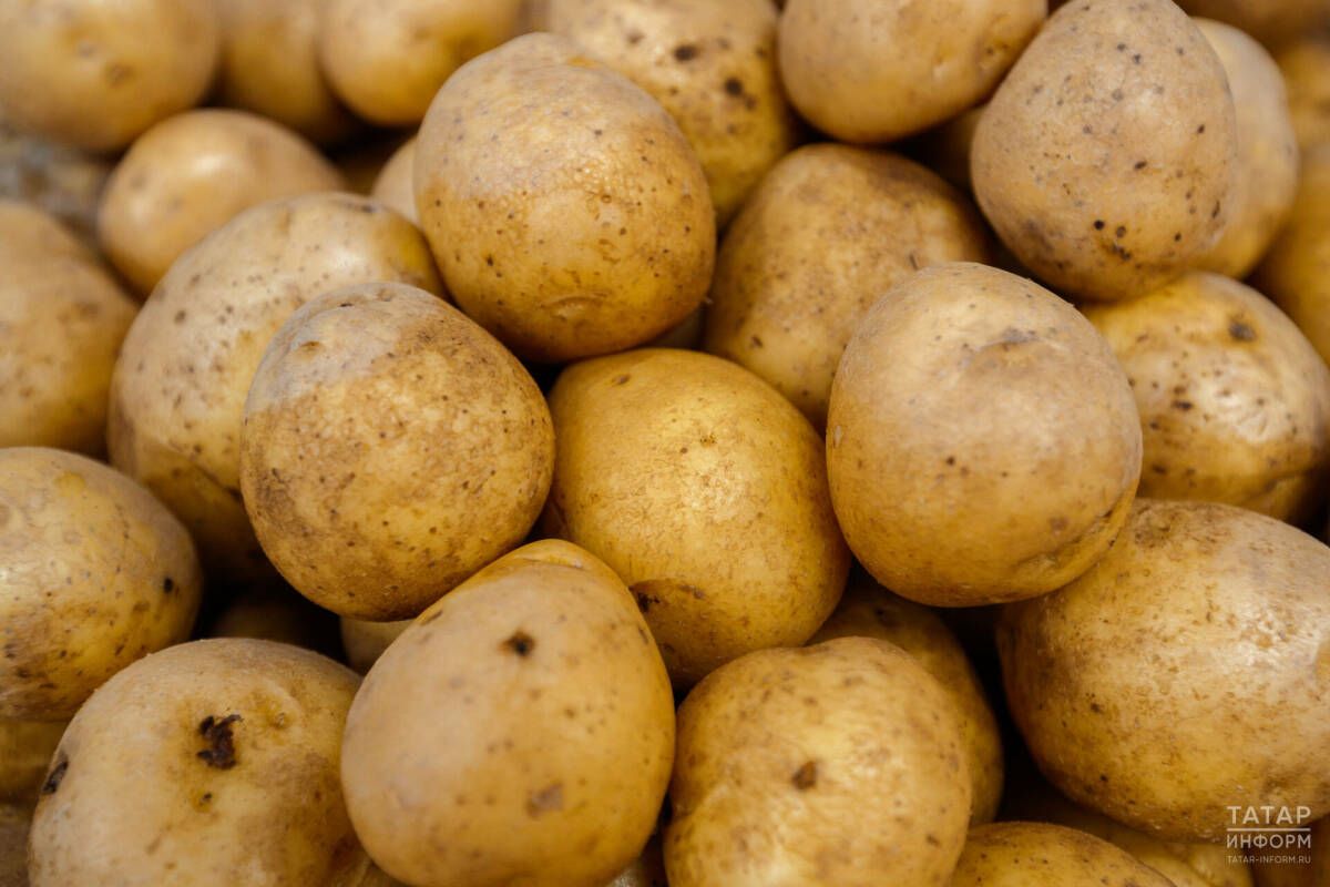 Татарстанцы отметили увеличение цены на картофель