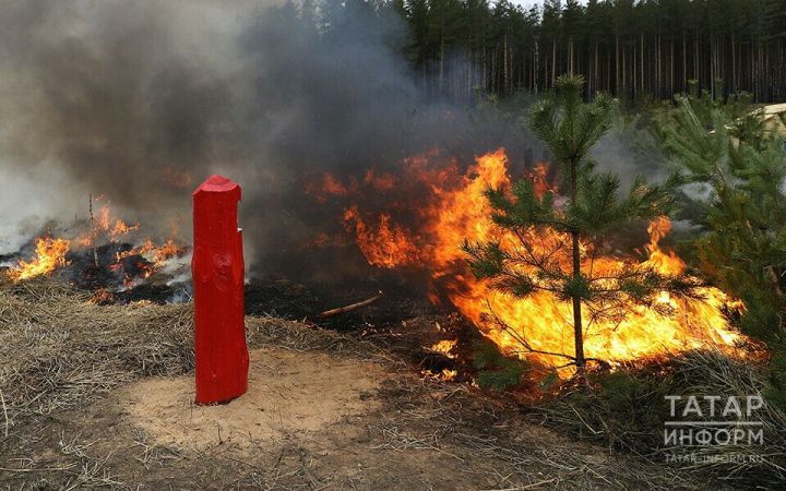 За сутки пожарные ликвидировали 9 возгораний в Татарстане