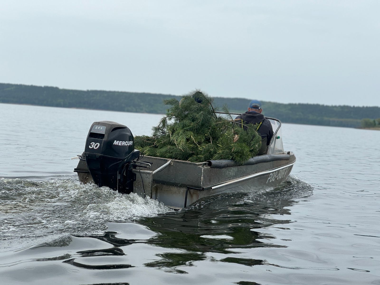 В Тетюшском районе создали комфортные условия для нереста рыбы