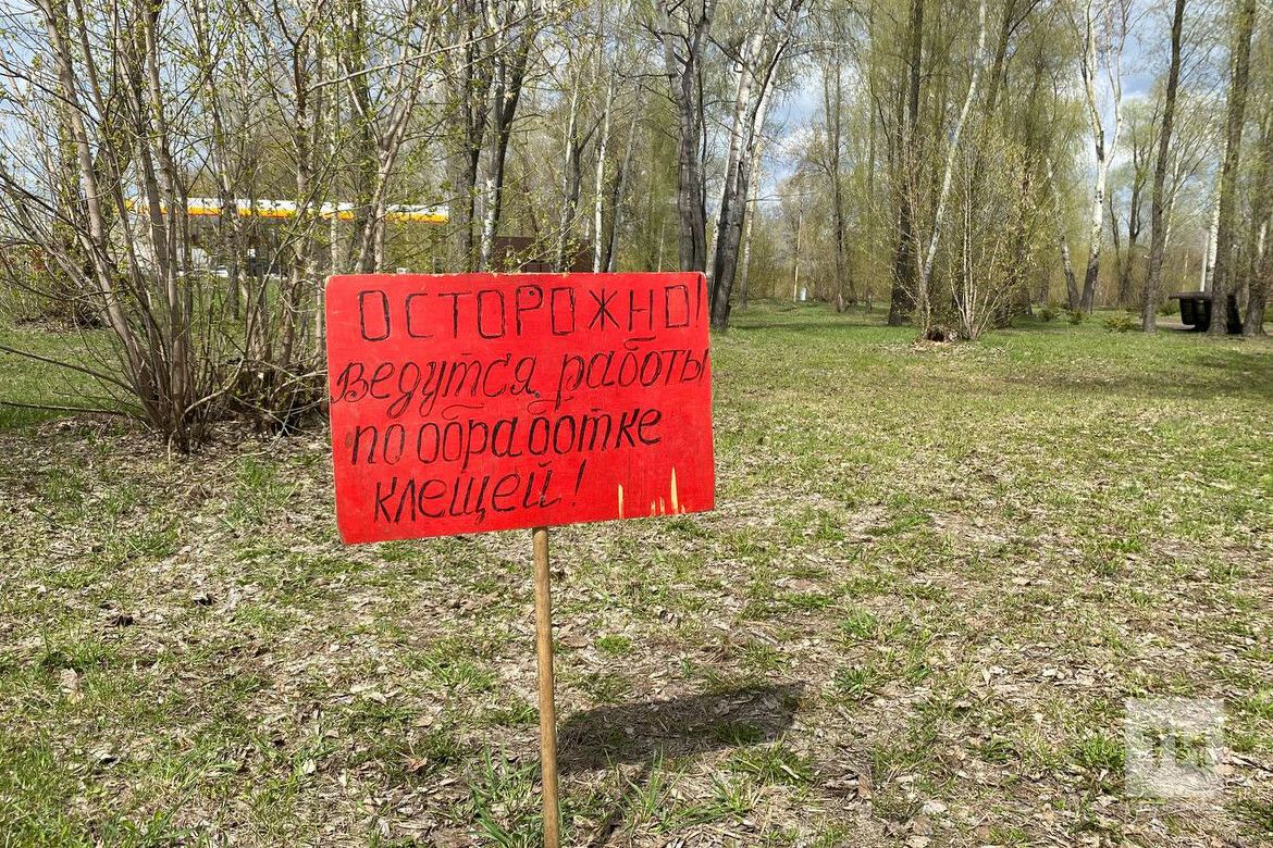 Роспотребнадзор Татарстана продолжает мониторинг ситуации по клещевым инфекциям