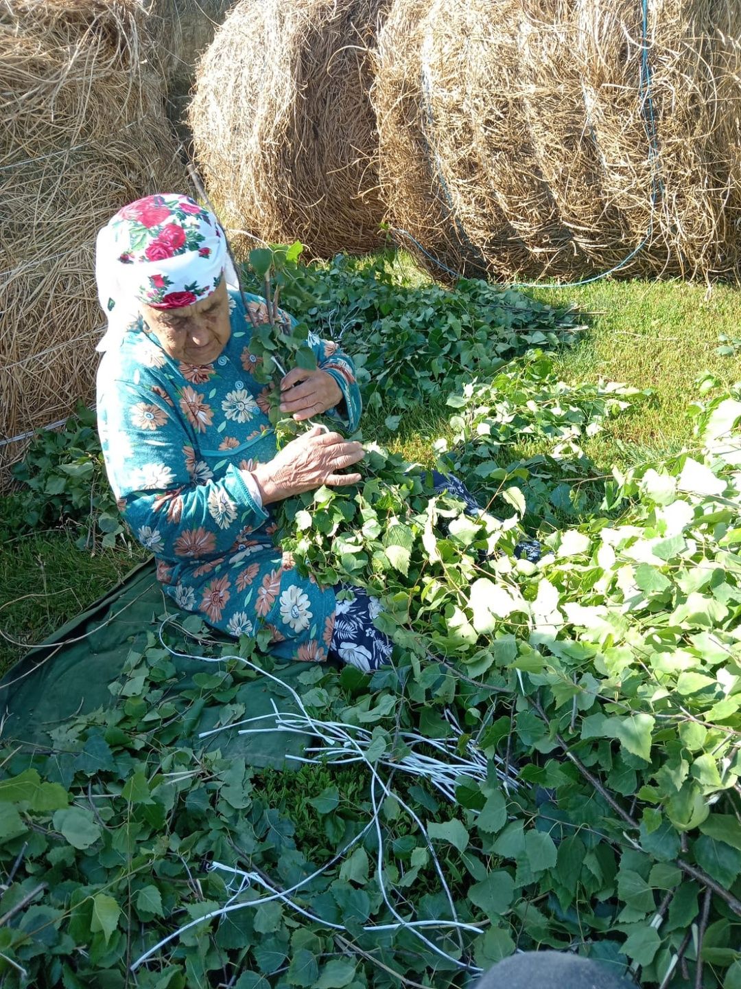 Келәштә тиктормас әбиләр яши