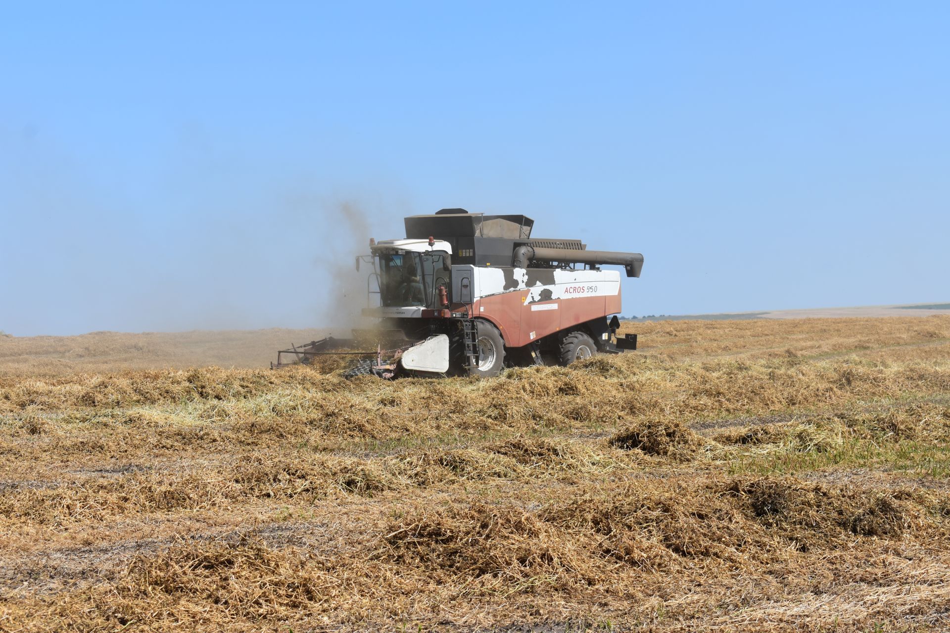 Тәтеш районында бөртеклеләрне һәм бөртекле-кузаклы культураларны урып-җыю дәвам итә