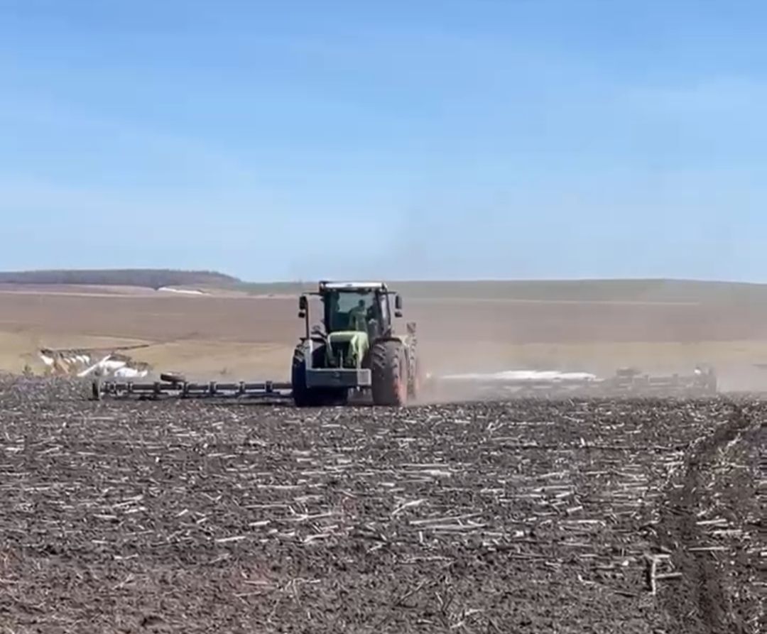 Кырларда  эш гөрли