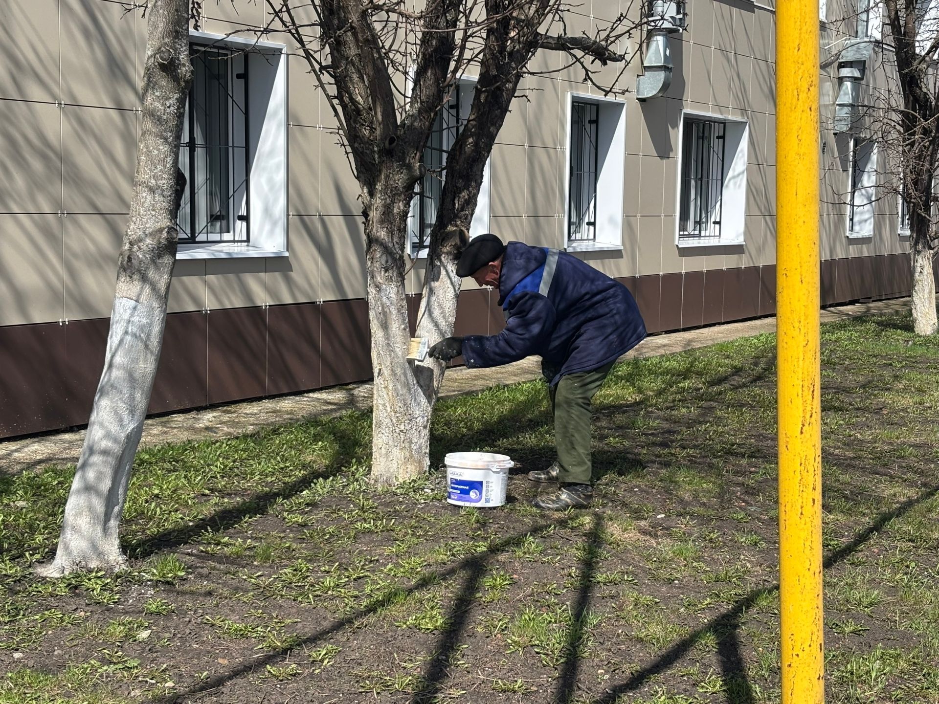 Весна в Тетюшском Доме-интернате: вместе делаем территорию красивее