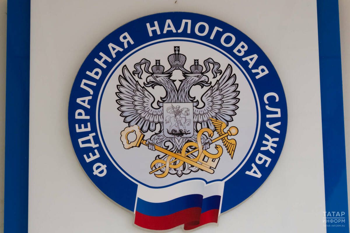 Налоговая служба Татарстана: как онлайн проверить и скорректировать данные об имуществе