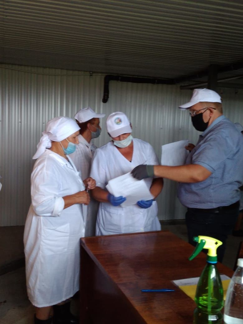 На базе хозяйства «Агро-Союз» проходит районный конкурс операторов машинного доения