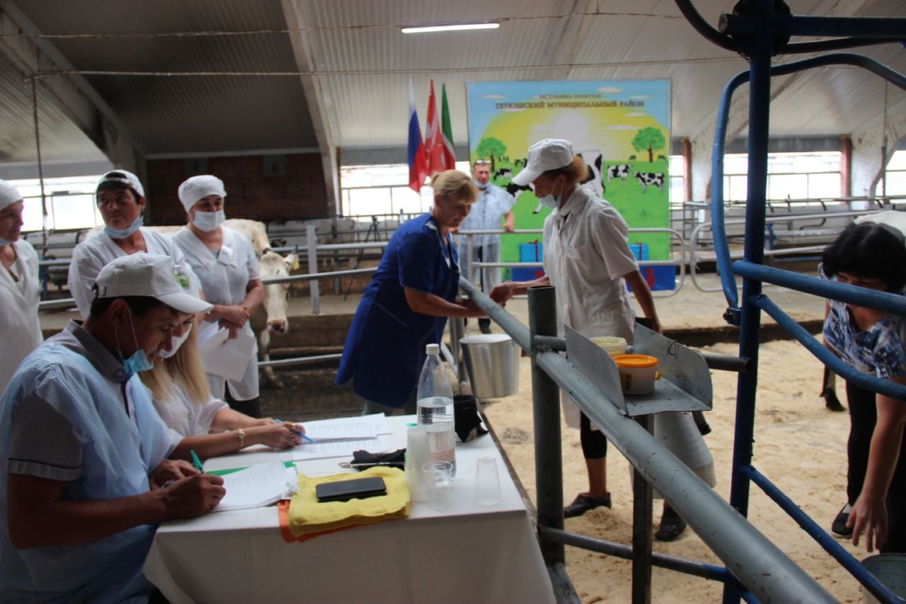 На базе хозяйства «Агро-Союз» проходит районный конкурс операторов машинного доения