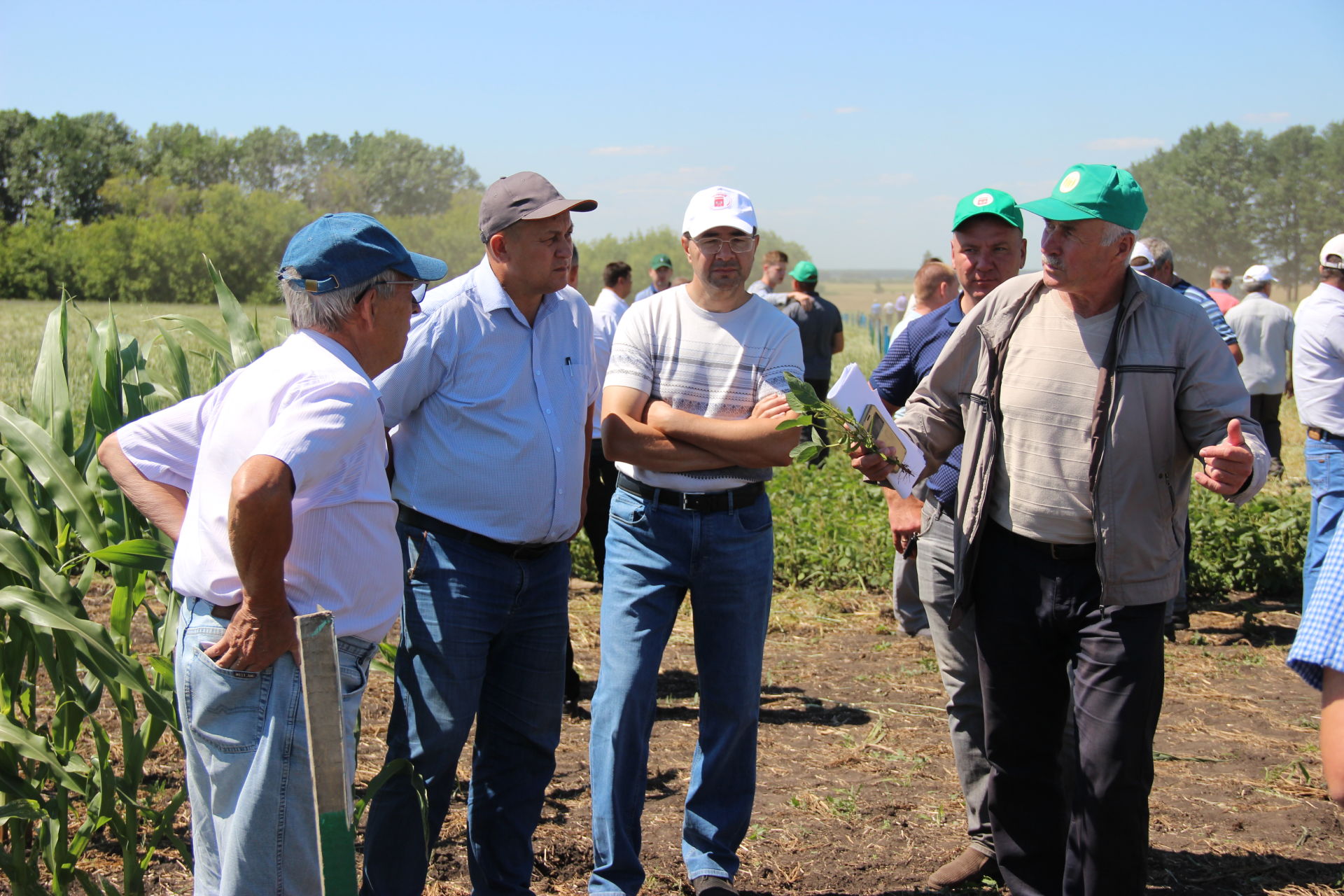 Районный семинар-совещание по подготовке к уборке урожая на базе агрофирмы "Колос"