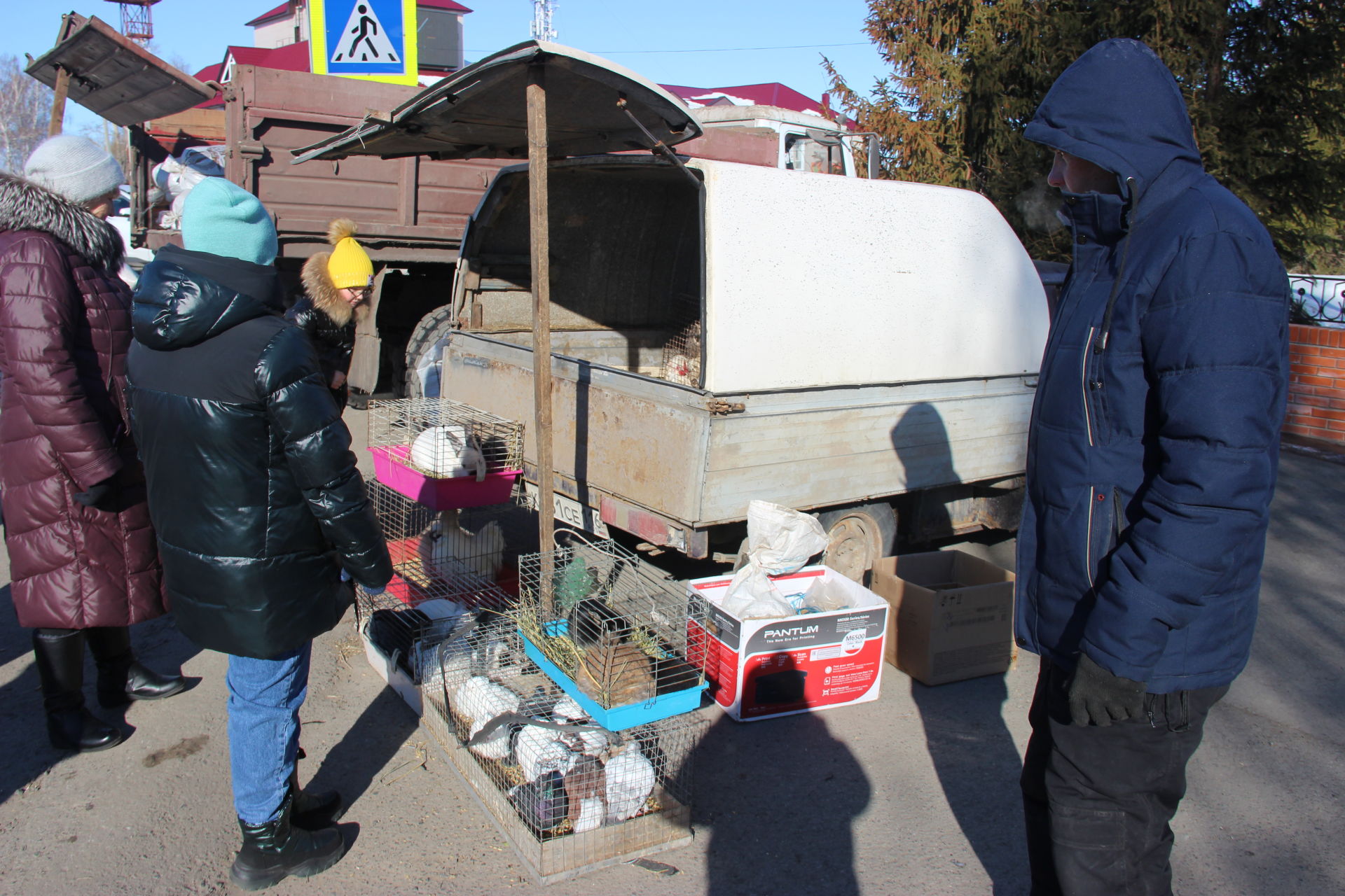 Сельскохозяйственная ярмарка в Тетюшах