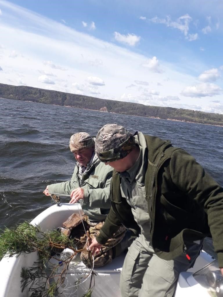 В прибрежной зоне реки Волга Тетюшского района установили искусственные нерестилища