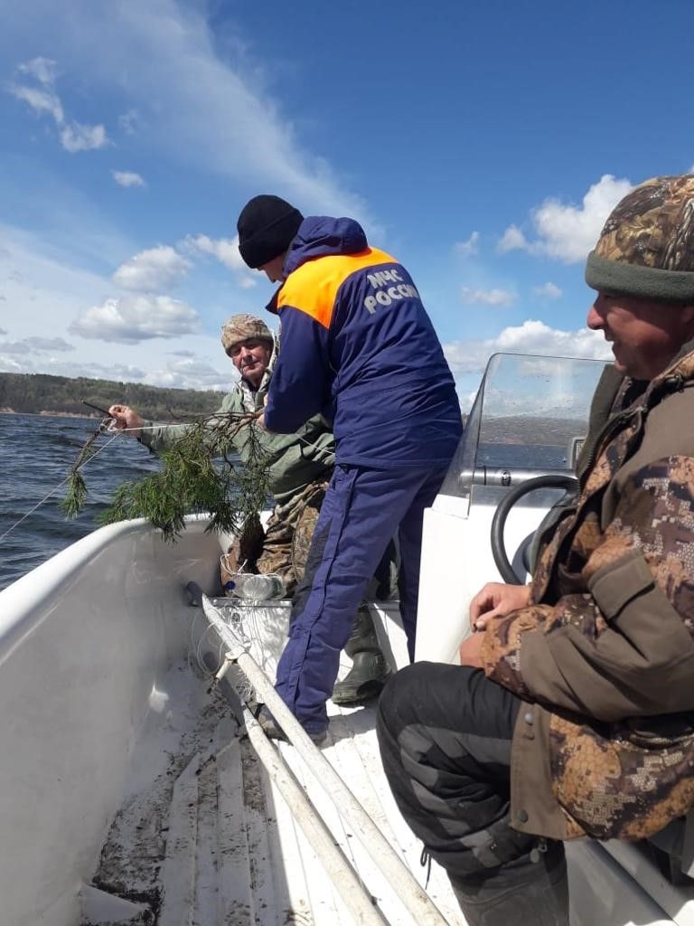 В прибрежной зоне реки Волга Тетюшского района установили искусственные нерестилища