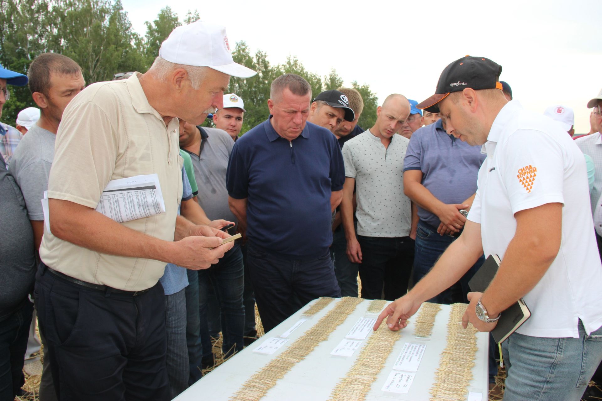 В Тетюшском районе прошел сельскохозяйственный семинар