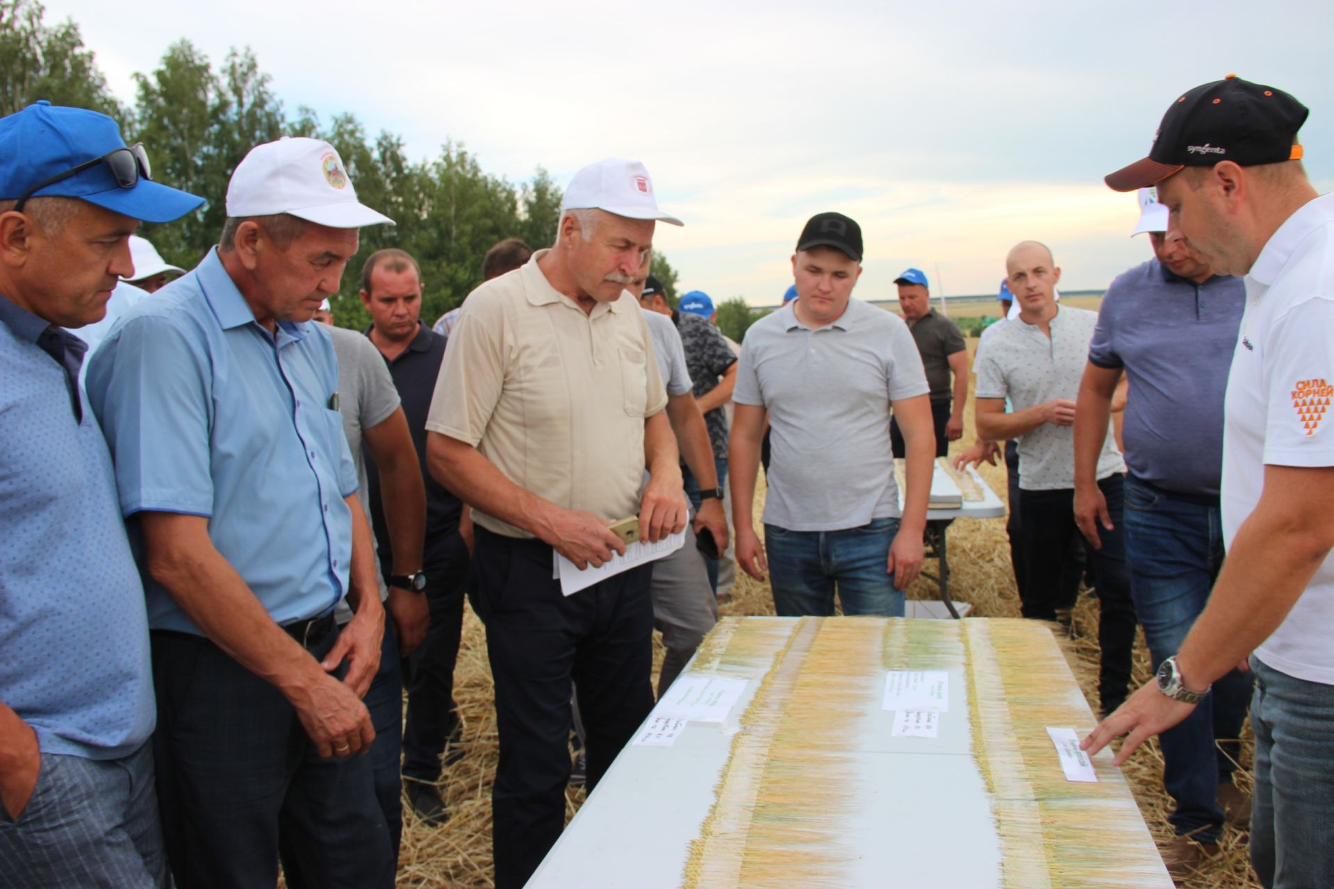 В Тетюшском районе прошел сельскохозяйственный семинар