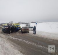 В массовой аварии на автодороге в Татарстане пострадали двое детей