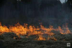 В Татарстане с 28 апреля объявлено штормовое предупреждение в связи с высокой пожароопасности лесов