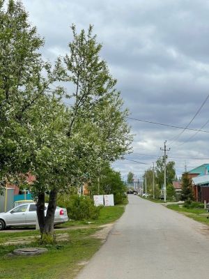 Гидрометцентр сообщил о сильном юго-западном ветре и грозе на территории Татарстана