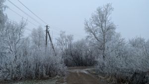 Синоптики предупредили о сильной метели в Татарстане