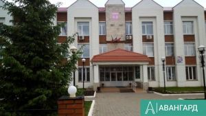 В Тетюшах обсудили помощь семьям на заседании консилиума