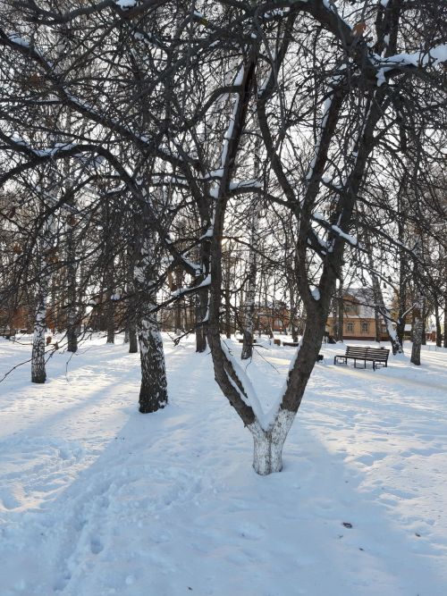 Прогноз погоды на 17 января 2023 года в Тетюшах