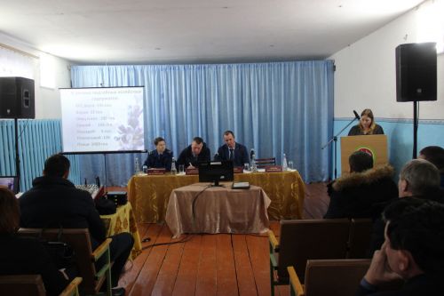 Собрание граждан в Льяшевском сельском поселении