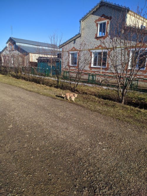 В Тетюшах будет вновь тепло и туманно
