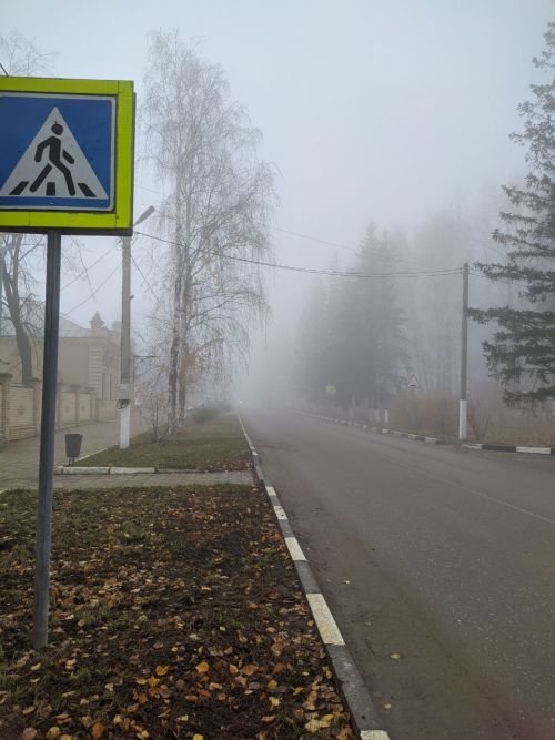 В Татарстане за 10 месяцев этого года в ДТП погибли 16 детей