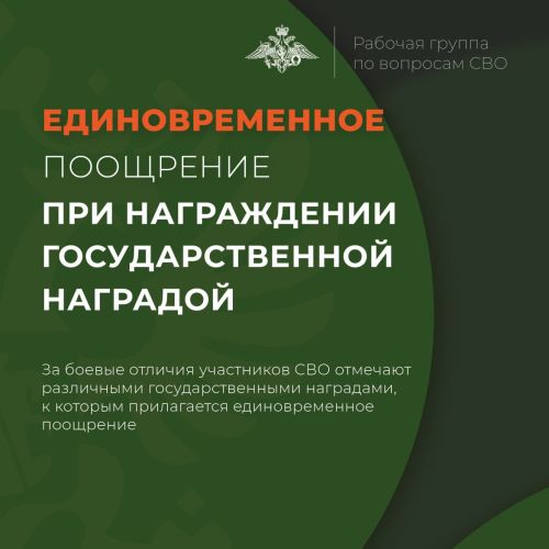 Участники спецоперации получают денежную премию за награждение госнаградой