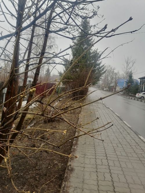 А в Татарстане - дожди, сообщили синоптики
