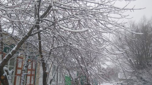 Сегодня в Тетюшах облачно и морозно